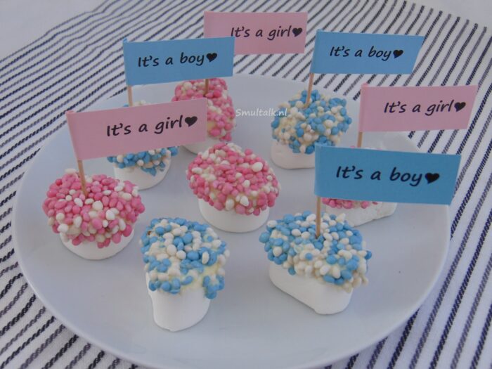 marshmallows met muisjes